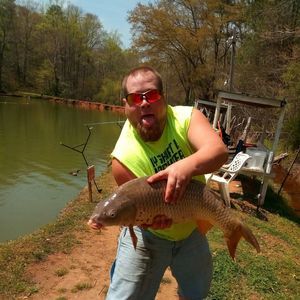 Meet your Posher, Josh